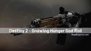 HOMEPAGE 158 Gnawing Hunger God Roll - Destiny 2