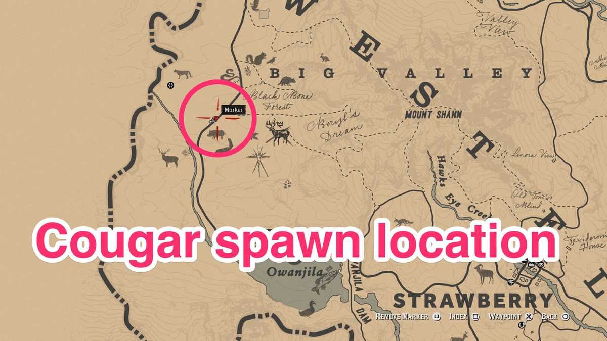 cougar locations rdr2, cougars rdr2, rdr2 cougar hunting, rdr2 cougar location, rdr2 cougar locations, red dead redemption 2 cougar location