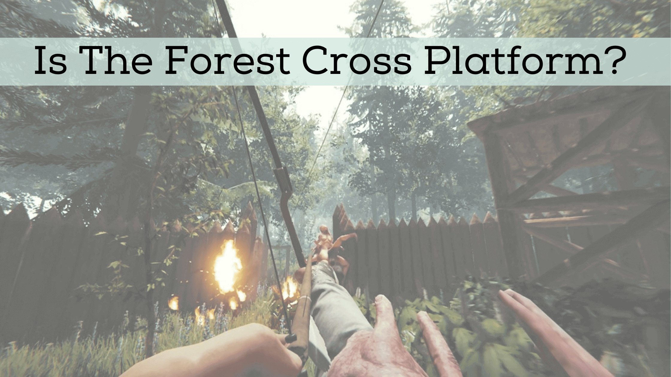 is the forest cross platform